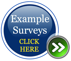 example surveys click here copy