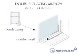 Mould to Window